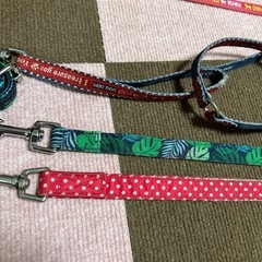 受付終了　犬の首輪 リードの画像