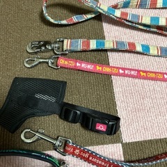 受付終了　犬の首輪 リードの画像
