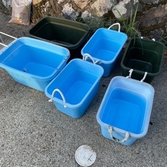 メダカで使用していたタライや水槽