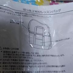 新品　大きめレッスンバッグの画像