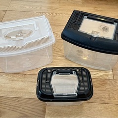 虫かご3個 ※中古につき汚れあり