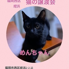 明るく元気なご陽気娘❤️つゆちゃん 8月18日 姪浜の譲渡会に参...