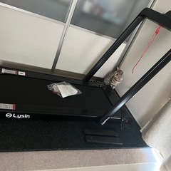 ルームランナー
の画像