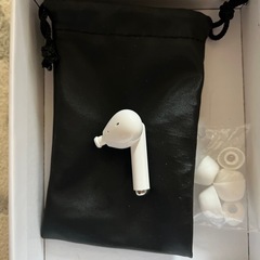 ﾜｲﾔﾚｽｲﾔﾎﾝ白の画像