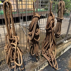ロープ　セット