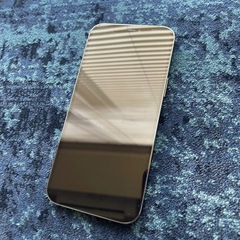 iPhone12 Promax 256GB