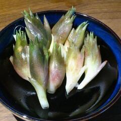 すぐにお渡しできます♪黒部峡谷の天然みょうが・ミョウガと天然赤ミズ・みずのセット800g強の画像