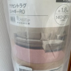 ニトリアクセントラグSシャギーROの画像