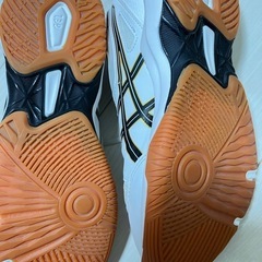 美品 asics アシックス バレーボールシューズ 25cmの画像