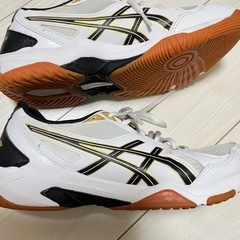 美品 asics アシックス バレーボールシューズ 25cmの画像