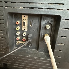 onion テレビの画像