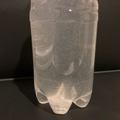【10軒⭐︎御礼】🐟ゾウリムシ・2000ml
