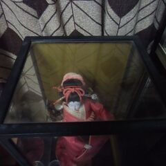 昭和 レトロ 末広 ガラスケース付き 日本人形 お譲りします。＊石川県＊美川より＊期間限定の画像