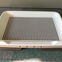 犬のトイレ