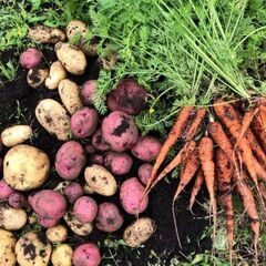 食の安全安心・備蓄・自給自足の始め方教室を始めました。