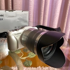 デジタルカメラ　Panasonic DMC-GF5X 交換レンズ H-FS14140