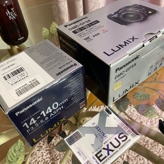 デジタルカメラ　Panasonic DMC-GF5X 交換レンズ H-FS14140の画像