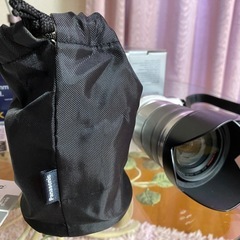 デジタルカメラ　Panasonic DMC-GF5X 交換レンズ H-FS14140の画像