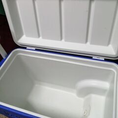 ｃｏｌｅｍａｎクーラーボックスの画像