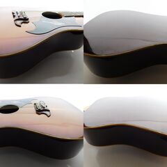 Pro Martinアコースティックギター