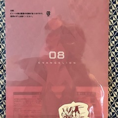 一番くじ　エヴァンゲリオン 〜使徒、侵食！〜 H賞A4クリアファイル マリ の画像