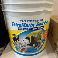テトラマリンソルトプロ