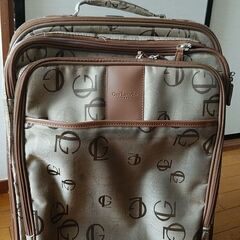 キャリーバッグ