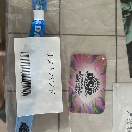 ライジングサン2日通しRSR