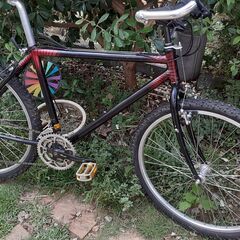 BRIDGESTONE ビンテージ・ブリヂストン・ワイルドウエストMTB        の画像
