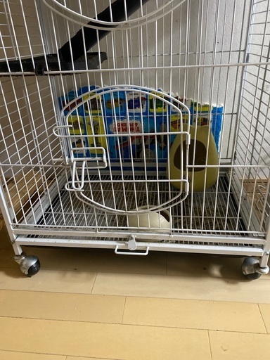 ゲージ