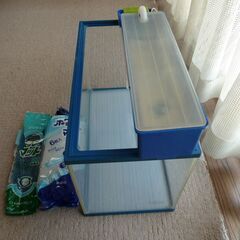 差し上げます　水槽セット 60cmの画像