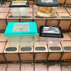 飼育ケース　水槽　昆虫　メダカ　ザリガニ　爬虫類　虫かご　