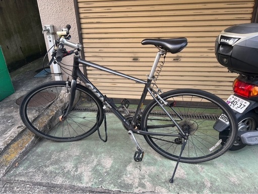 ESCAPE R3 2019  GIANTロードバイク