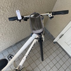 　自転車　 giant  
の画像