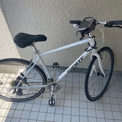　自転車　 giant  
の画像