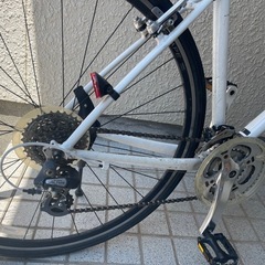 　自転車　 giant  
の画像