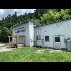 犬のトリミング事業展開についてアドバイスください
