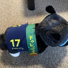 サラブレッドコレクション　ドゥレッツァ　菊花賞　競走馬　競馬　ぬいぐるみの画像