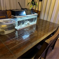 ※決まりました※イエローボックス ダイニングテーブルセットの画像