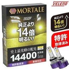 VELENO MORTALE ヴェレーノ モルターレ  H8 H...