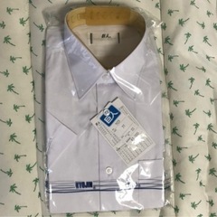 【新品】半袖 Yシャツ サイズ37
