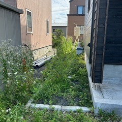 雑草抜きお願いしたいです - 札幌市