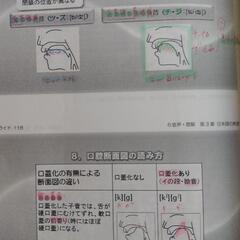 ヒューマンアカデミー「日本語教育能力検定試験 完全合格講座」教材＆講義DVD&音声CDセットの画像