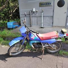 YAMAHA DT
