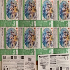 【安心決済可能】東京サマーランド1DAYパスチケット_no3