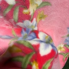 2枚合わせて毛布の画像