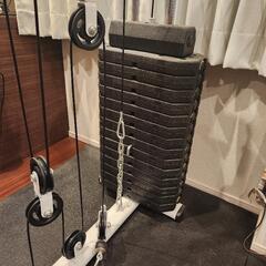 IROTEC (アイロテック) NEWマルチホームジムDX150ポンドタイプV2