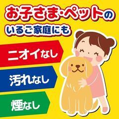 新品 蚊がいなくなるスプレー 200回分 ハエ 蚊取り の画像