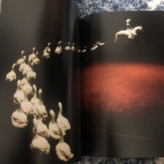 「即決・交渉可」騎馬オペラ・ジンガロ 2005年日本公演LOUNGTA     DVD、公演豪華パンフレットセットの画像