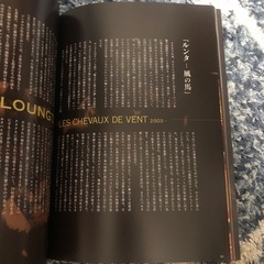 「即決・交渉可」騎馬オペラ・ジンガロ 2005年日本公演LOUNGTA     DVD、公演豪華パンフレットセットの画像